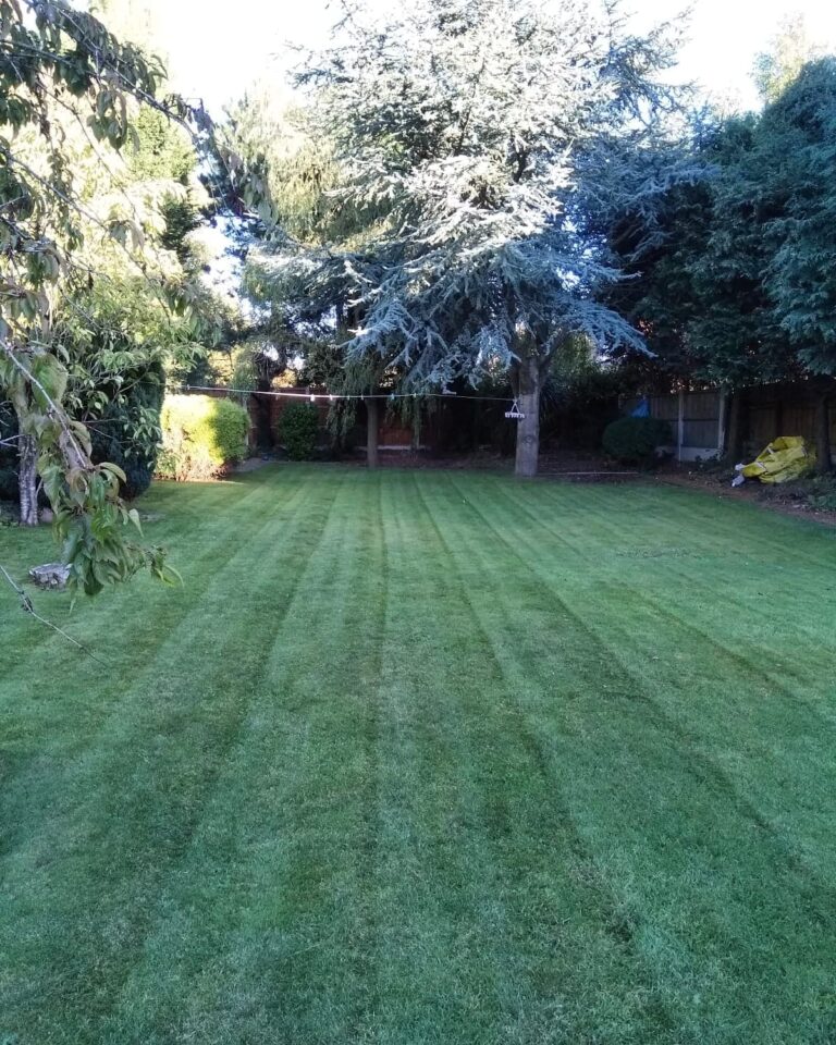 42723691 508151839596124 1814034486061432832 n 768x960