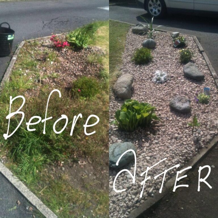 488809267 2024142327997060 3424482425855371402 n 768x768