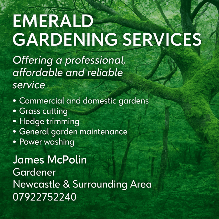 ChatGPT Image May 19 2025 02 39 55 PM 768x768